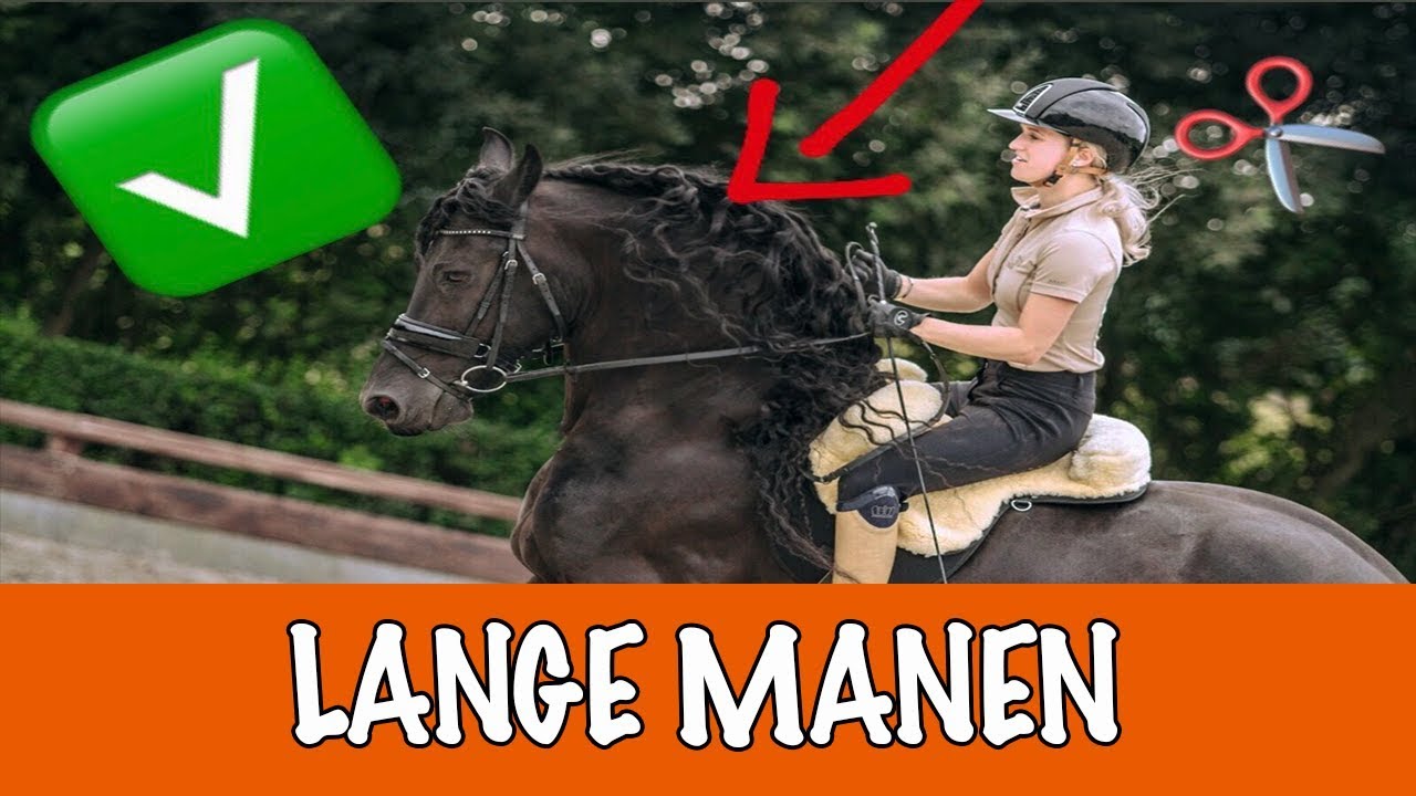 Hoe krijgt mijn paard lange manen? + GOED NIEUWS! | PaardenpraatTV