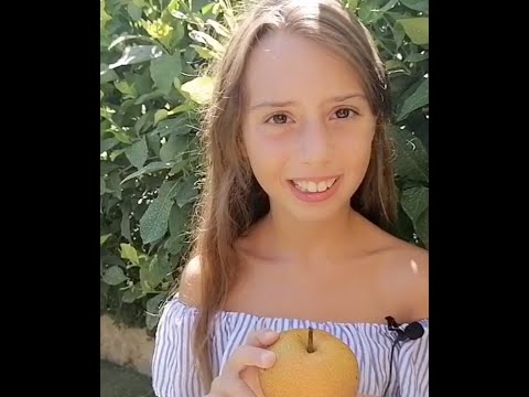 Che cos'è un Nashi? Ce lo spiega una Junior reporter