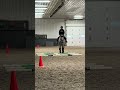 Barn vlog