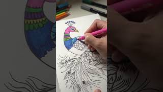 please subscribe 🙏