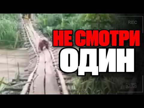 HORRIBLE THINGS FROM AROUND THE INTERNET (BIG COMPILATION #15)