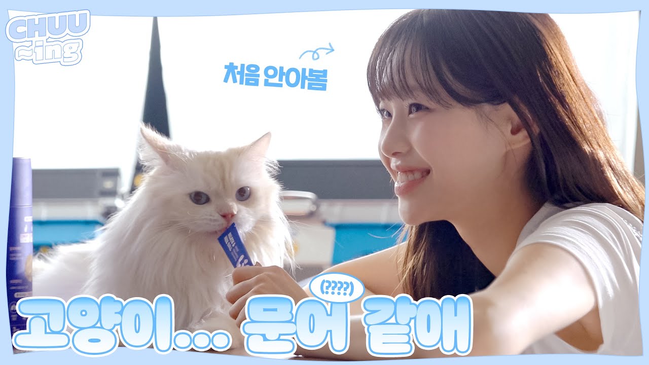 [CHUU-ing] 어머니 강아지들이 너무 잘해요~💙 강아지, 고양이와 함께 한 행복한 촬영😆 | 라이프펫 광고 촬영 비하인드