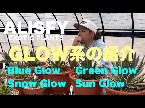 Great Grow Along参加ガイド：無料で学ぶ10日間のガーデニング祭り
