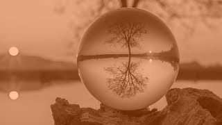 The Fibonacci Levels and the Mathematical Symmetry of Nature The Fibonacci Levels and the Mathematical Symmetry of Nature