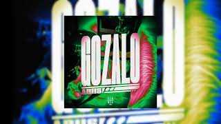 Download Lagu ARIIS - GOZALO (1 HOUR VERSION) MP3