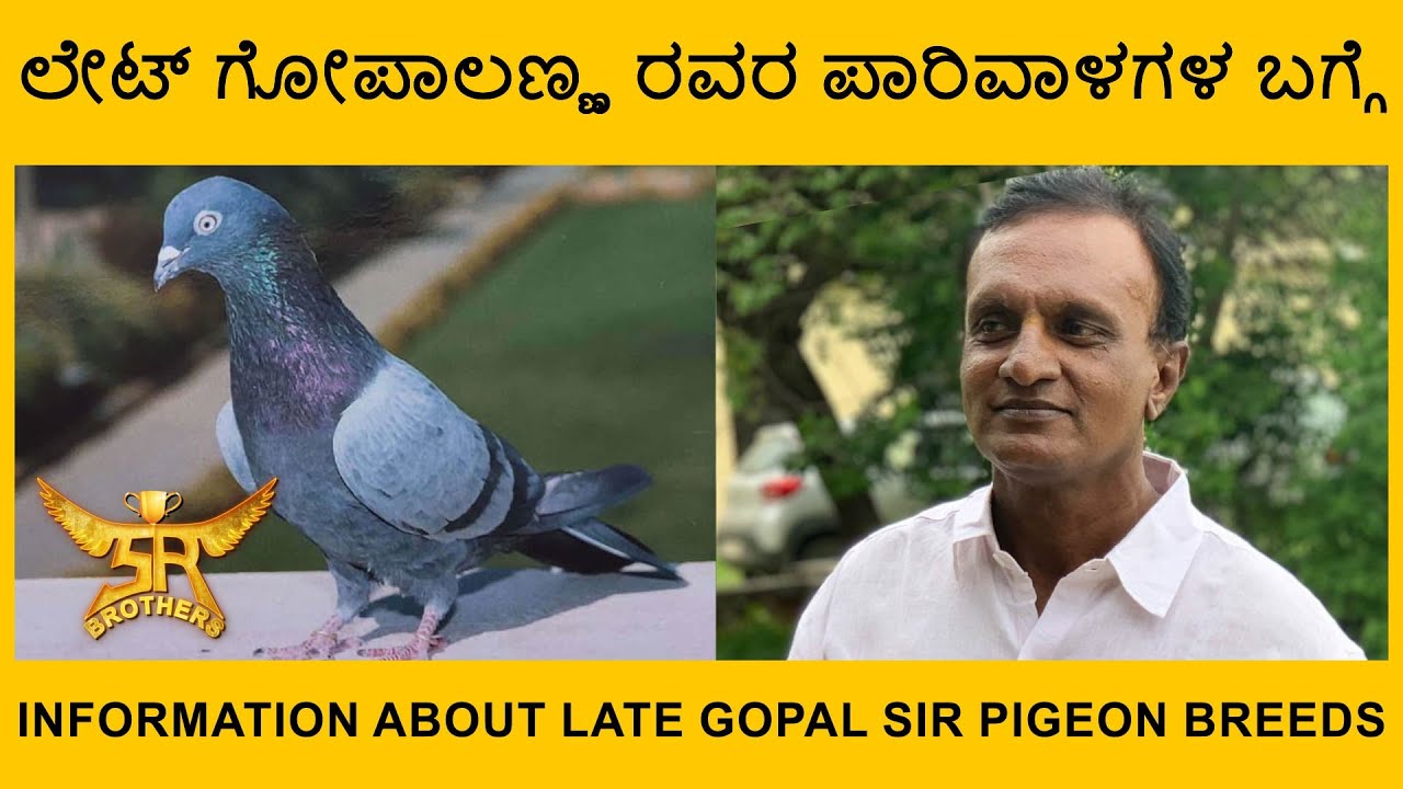 ಲೇಟ್ ಗೋಪಾಲಣ್ಣ ರವರ ಪಾರಿವಾಳಗಳ ಬಗ್ಗೆ | Information about late gopal sir pigeon breeds