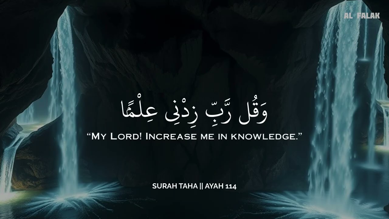 أرح سمعك.. تلاوة هادئة تريح القلب والعقل💞😴 | ساعة كاملة🕛🎧 القارئ سالم الرويلي | Salem Alruwaili