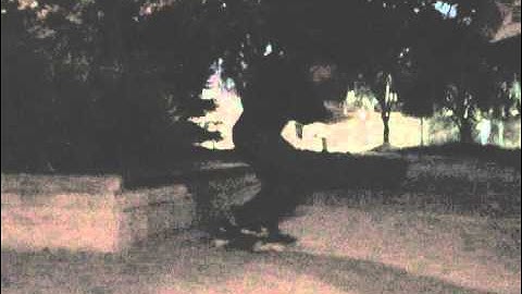 sw tailslide fs flip out