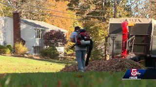 Follow these 5 tips to get your yard ready for winter