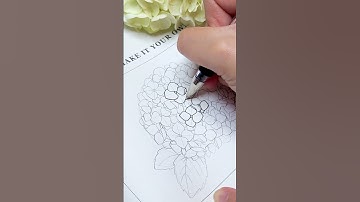 How I Practice Drawing Hydrangea Flowers #drawingflowers