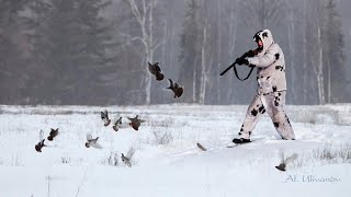 Охота на тетеревов на лунках. Закрытие сезона. Black grouse hunting