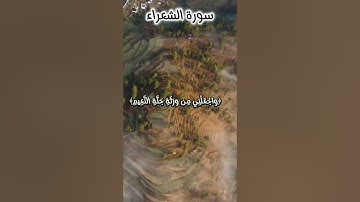 #الشيخ عبد الباسط عبد الصمد-سورة الشعراء- ٱلَّذِي خَلَقَنِي فَهُوَ يَهۡدِينِ #تجويد