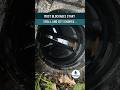 Early Signs of a Blocked Drain | Plymouth Drain Help #shorts