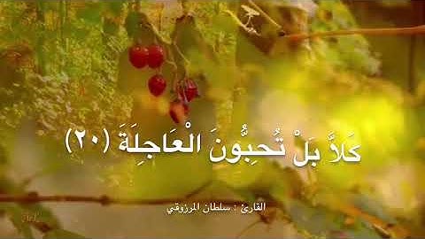 سورة القيامة كاملة ، للقارئ : سلطان المرزوقي