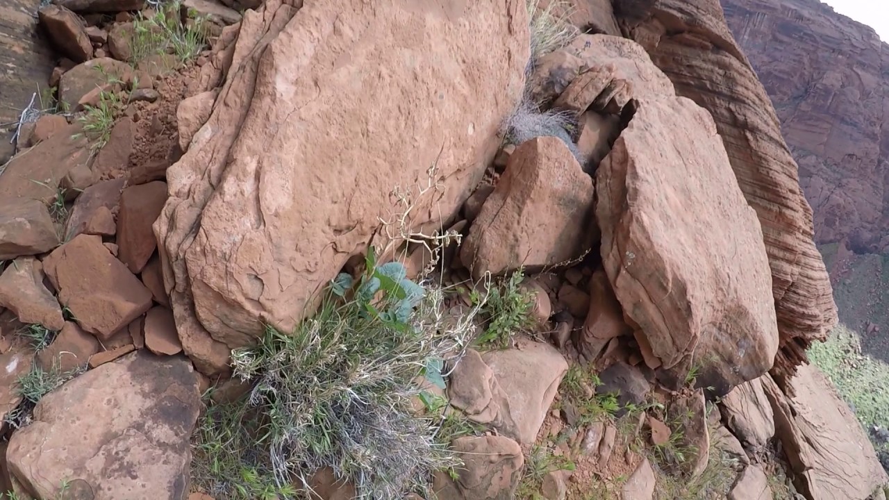 Ascending The Ropes Trail Page Arizona YouTube