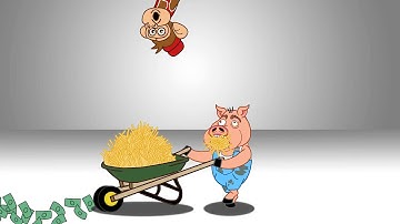 My crew is a zoo New Animation