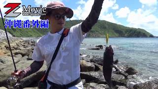 ジップベイツ 沖縄五目釣り LightGameFishing