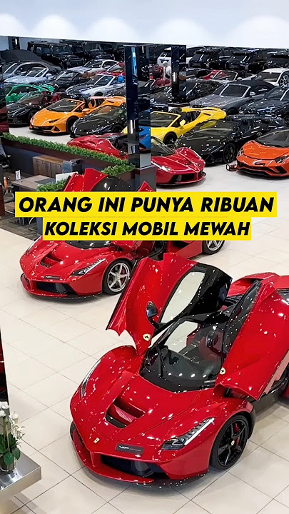 THIS PERSON HAS A COLLECTION OF 7000 LUXURY CARS