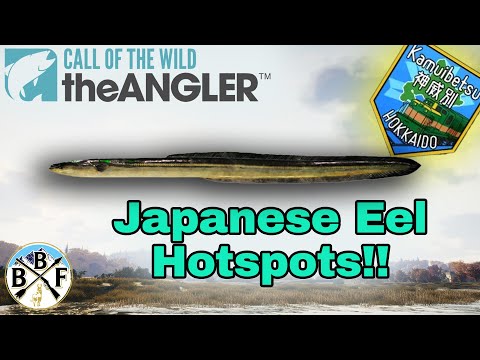 Beginner's Guide: Japanese Eel - Best Bait & Hook Size | Call of the Wild: theAngler