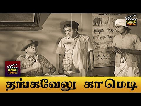 துப்பறியும் சிங்கம் தங்கவேலு, கலக்கல் காமெடி Scenes! | Thangavelu Comedy