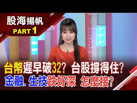 靜待輝達財報 AI還有戲?外資撤 反彈能搶? 台幣直逼32門口!醒醒吧 外資真跑了?理由? │2020230819-1股海揚帆*王嬿婷 高子旭 白易弘@ustvbiz