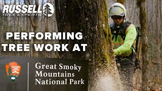 Performing Tree Work at Great Smoky Mountains National Park