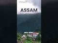 assam 🤯