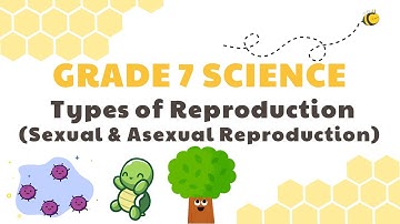 Types of Reproduction: Sexual and Asexual | Grade 7 Science DepEd MELC Quarter 2 Module 5