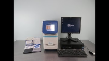 ABI StepOne Plus Real-Time PCR