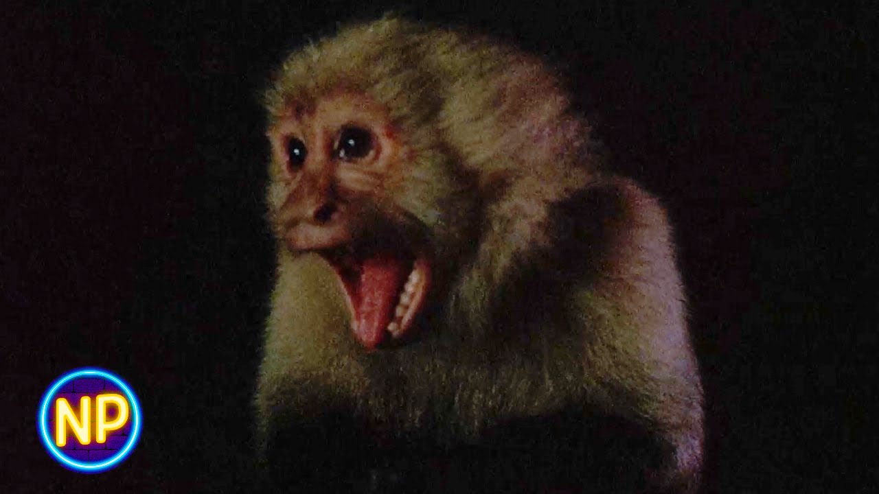 ⁣First Victim of the Voyage | Anacondas: The Hunt For The Blood Orchid (2004) | Now Playing
