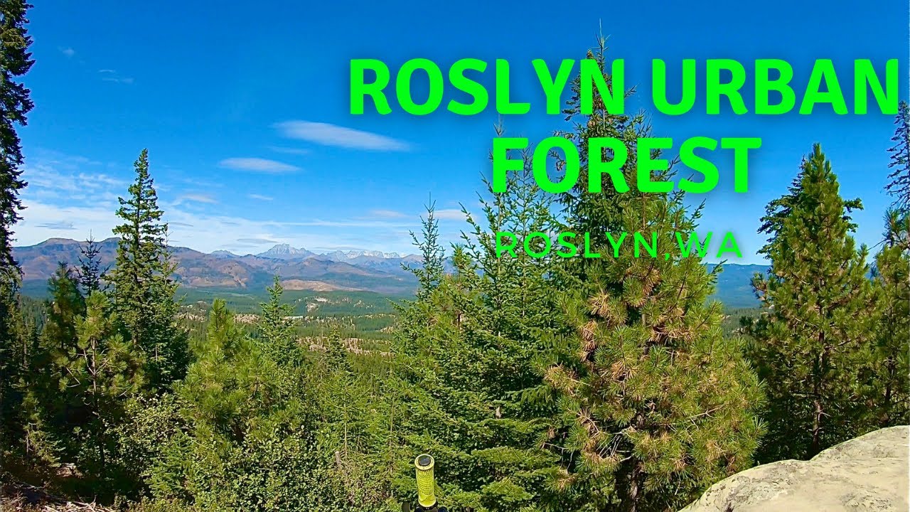 Roslyn Urban Forest | Roslyn, WA