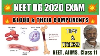 Components of BLOOD and their functions for NEET 2020 in Hindi || Body fluids Crash course || AIIMS