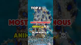Top 4 MOST POISONOUS ANIMALS IN THE WORLD! ☠️⚠️ #animals #shorts #viral