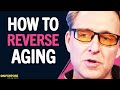 Thumbnail for Use These DAILY HACKS To Reverse Aging & Live Over 120+ YEARS OLD! | Dave Asprey