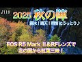 【撮影術】紅葉当たり年の北海道で霧氷!晴天!雨情を撮る♪
