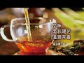 大醫生技 南非國寶茶(博士茶) 30入【買1送1】無咖啡因/礦物質/SOD-Like product youtube thumbnail