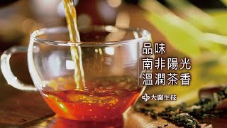 【大醫生技－國寶茶】健康大解密！南非國寶茶博士茶推薦 