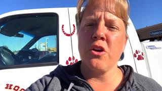 Veterinary tip of the day - pinworms can you get them from your pets?