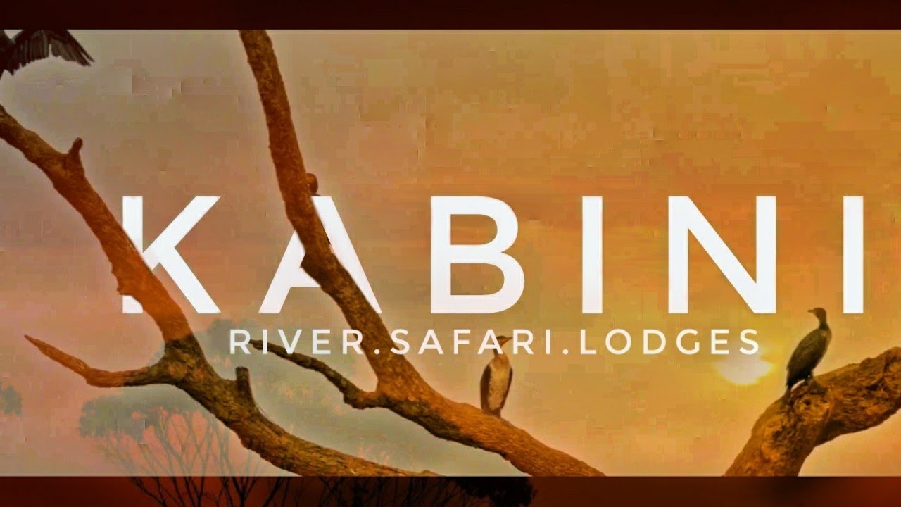 kabini | FOREST SAFARI EXPERIENCE Best lodges bird watching boating must watch