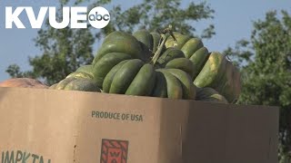 Fredericksburg orchard bounces back after summer rains, prepares for fall festivities
