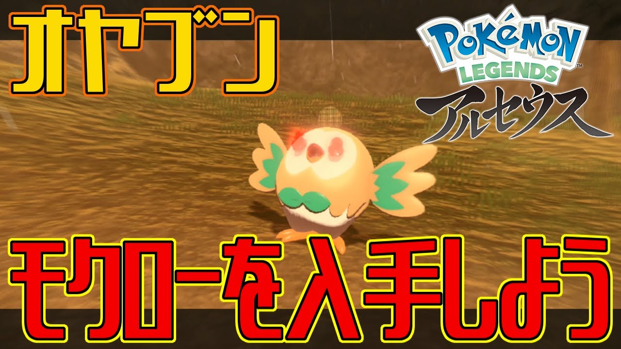 ポケモンアルセウス オヤブンのモクローを入手しよう Pokemon Legends アルセウス Youtube