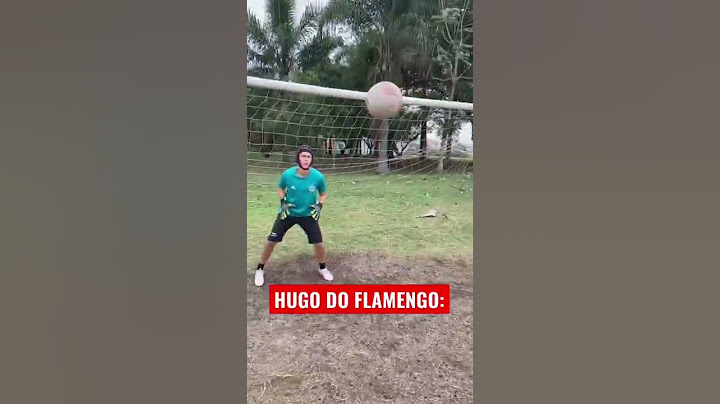 Hugo goleiro do Flamengo
