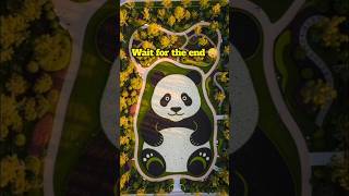 The Most Adorable Panda Garden Transformation
