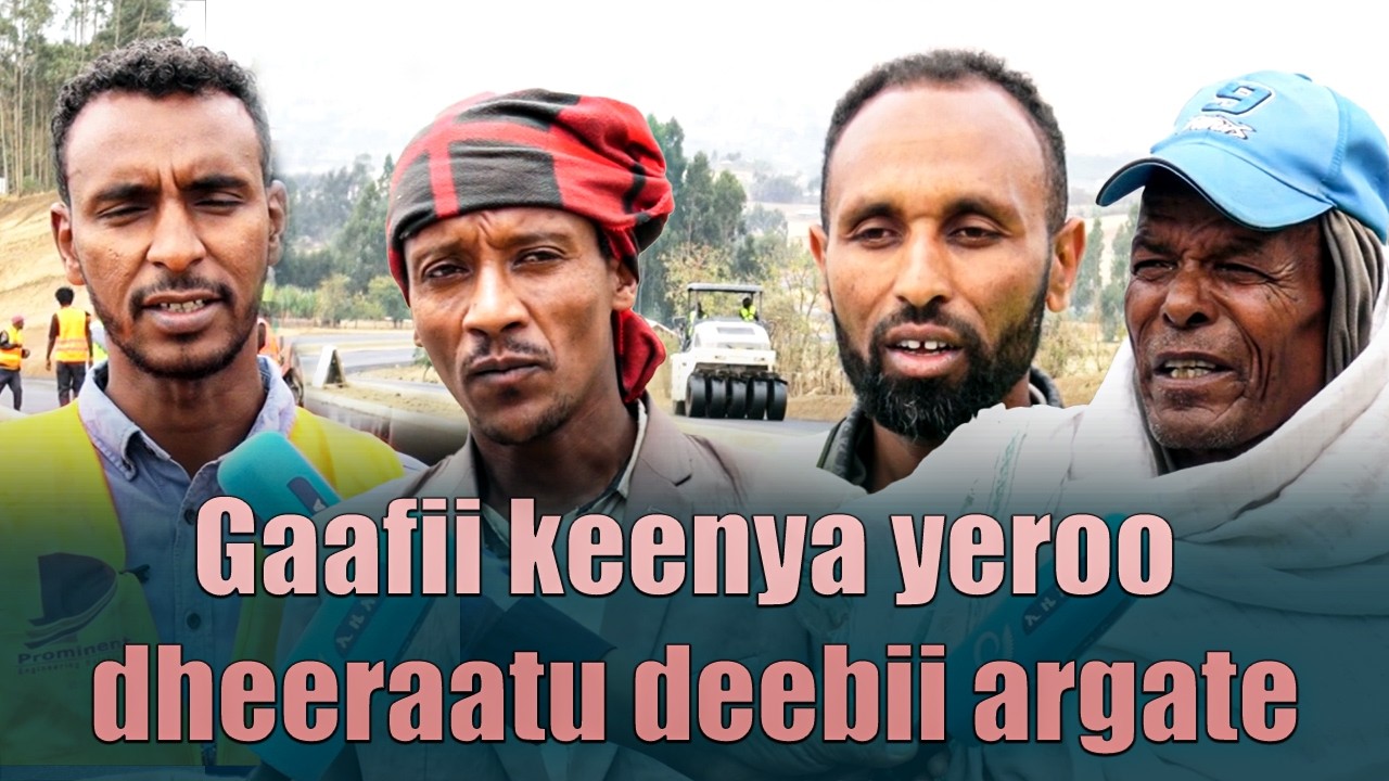 Daaandiin Asgorii - Dandii - Kotobaa hojjetama jiru rakkoo hawaas-dinagdee keenya kan nuuf furudha