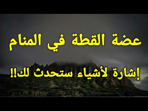 تفسير رؤية عضة القطة في المنام إشارة لأشياء ستحدث لك إحذر منها