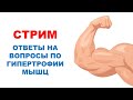 МЫШЕЧНАЯ ГИПЕРТРОФИЯ | Ответы на вопросы