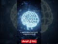 🚀 طوّر أعمالك بقوة الذكاء الاصطناعي