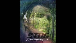 Stog - Materialistic Humans
