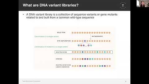 Explore Sequence Space With Twist Bioscience Spread Out Low Diversity Libraries