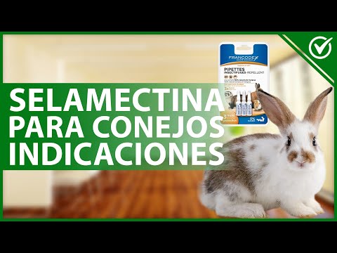 🐰 SELAMECTINA para CONEJOS: Qué es, para qué sirve, dosis y efectos secundarios 🐰